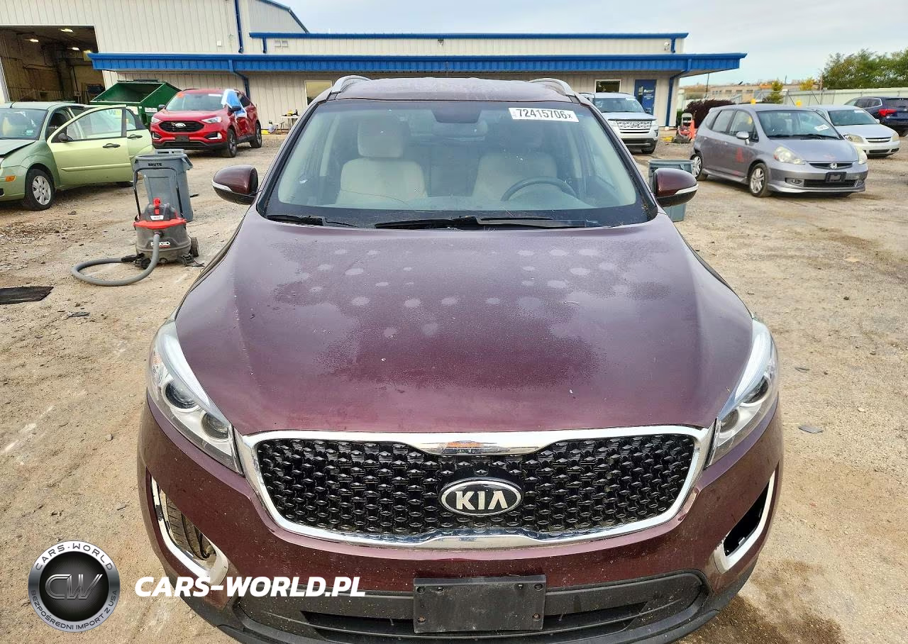 2017 Kia Sorento Lx V6 VIN:5XYPGDA5XHG224622 - 5