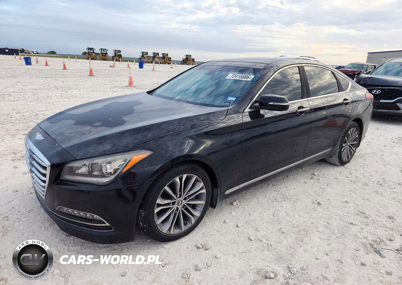 2016 Hyundai Genesis 3.8L VIN:KMHGN4JE7GU126825 - 1