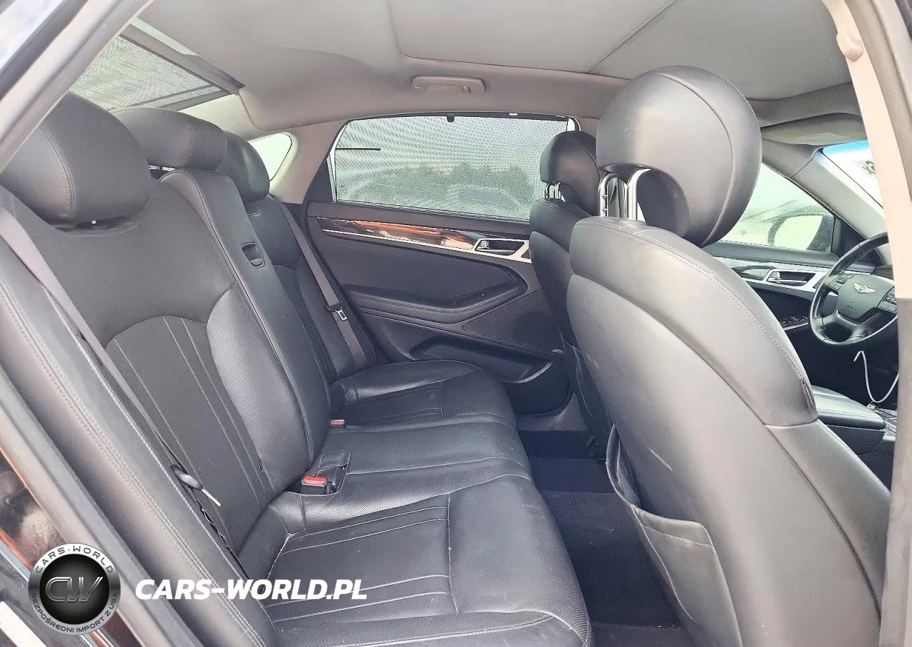 2016 Hyundai Genesis 3.8L VIN:KMHGN4JE7GU126825 - 10