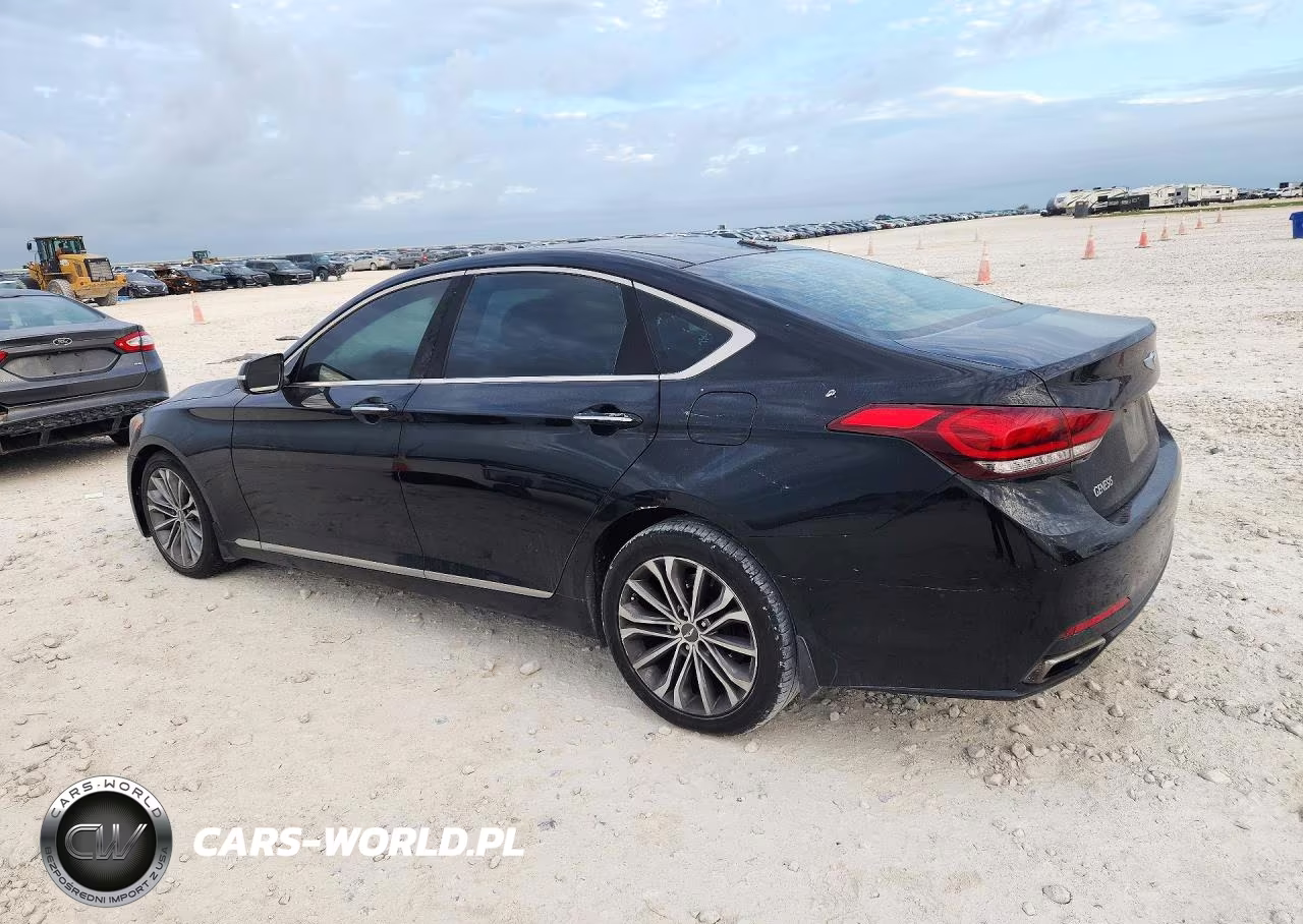 2016 Hyundai Genesis 3.8L VIN:KMHGN4JE7GU126825 - 2