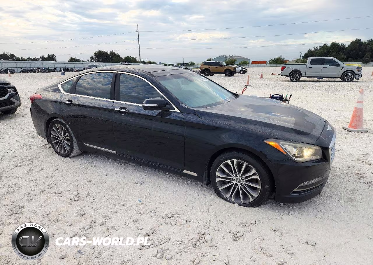 2016 Hyundai Genesis 3.8L VIN:KMHGN4JE7GU126825 - 4