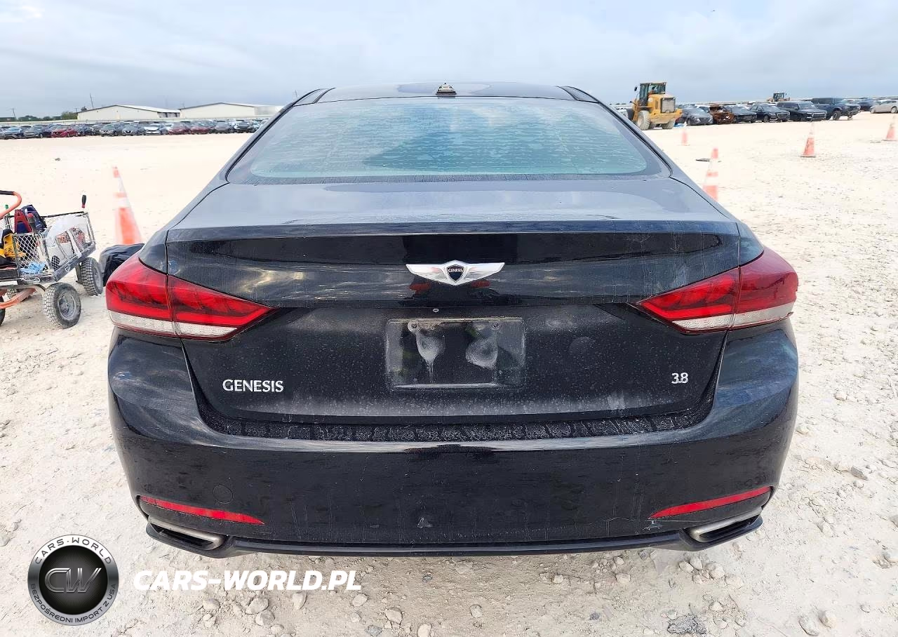 2016 Hyundai Genesis 3.8L VIN:KMHGN4JE7GU126825 - 6