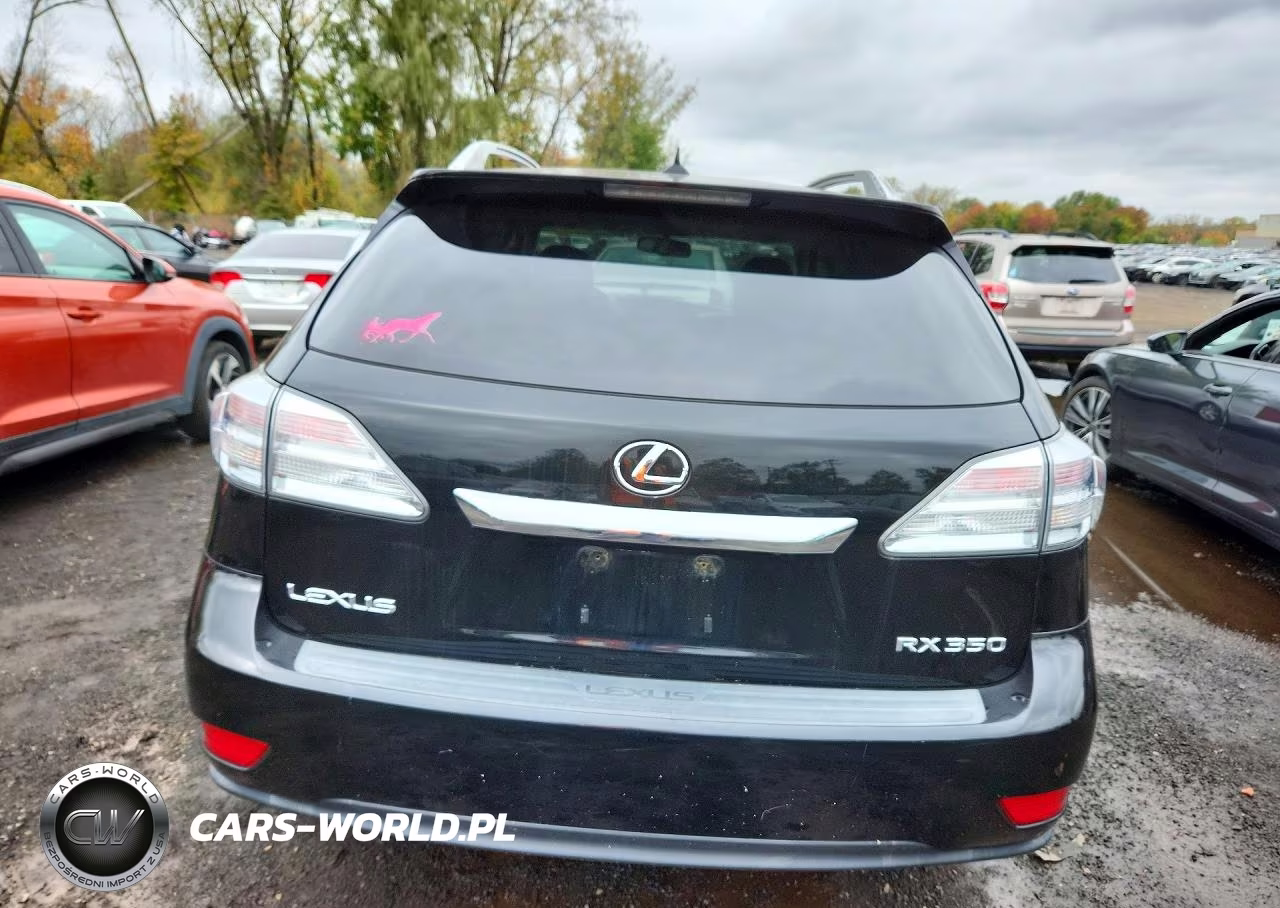 2010 Lexus Rx 350 VIN:2T2BK1BA5AC070319 - 6
