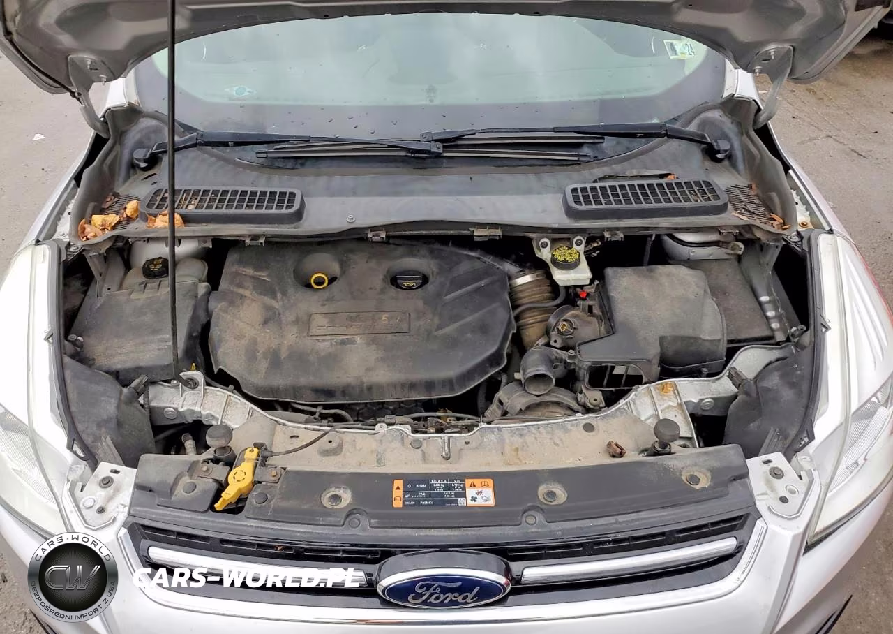 2014 Ford Escape Titanium VIN:1FMCU9J96EUC65911 - 12