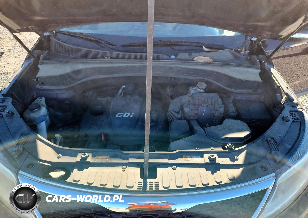 2014 Kia Sorento Lx VIN:5XYKT3A63EG449632 - 12