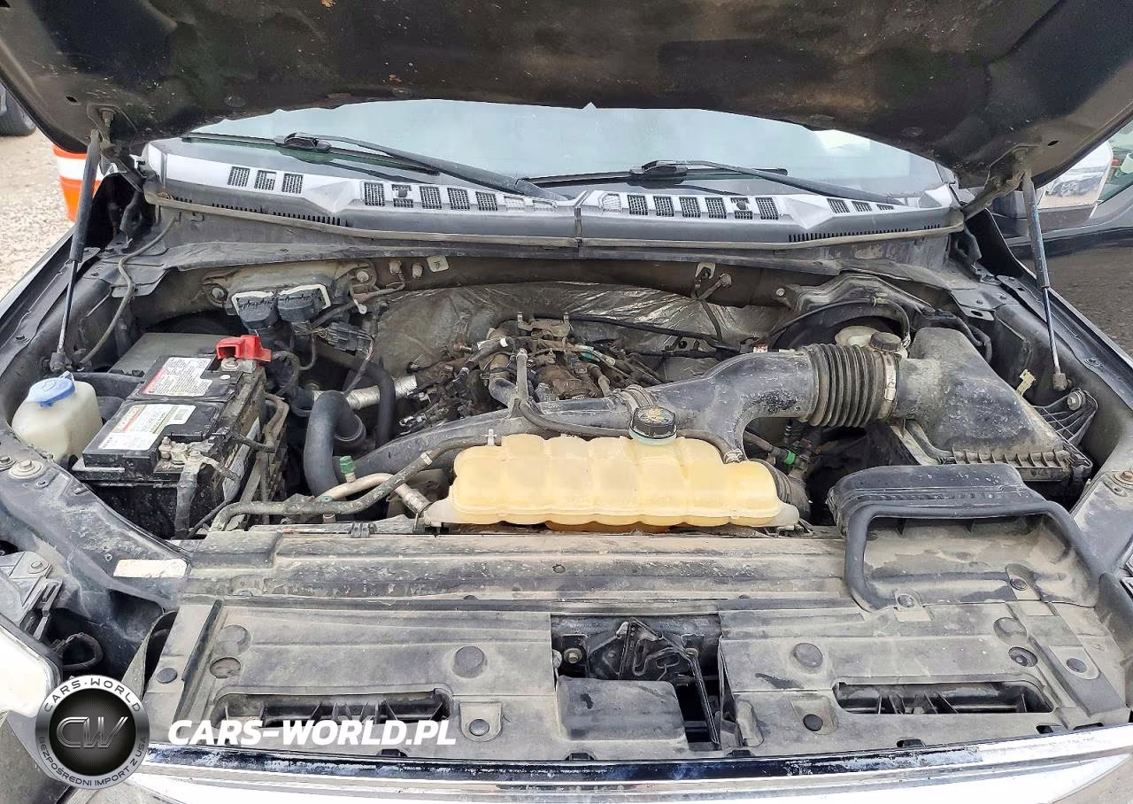 2017 Ford F150 Supercrew VIN:1FTEW1EPXHKC42732 - 11