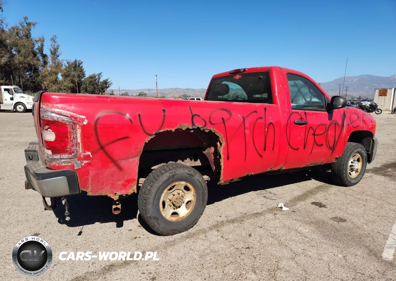 2010 Chevrolet Silverado K2500 Heavy Duty VIN:1GC3KVBG7AF120066 - 3