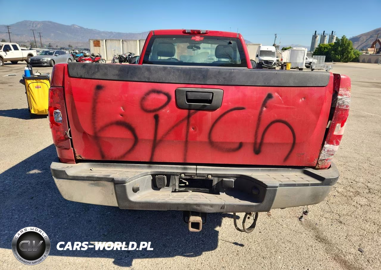 2010 Chevrolet Silverado K2500 Heavy Duty VIN:1GC3KVBG7AF120066 - 6