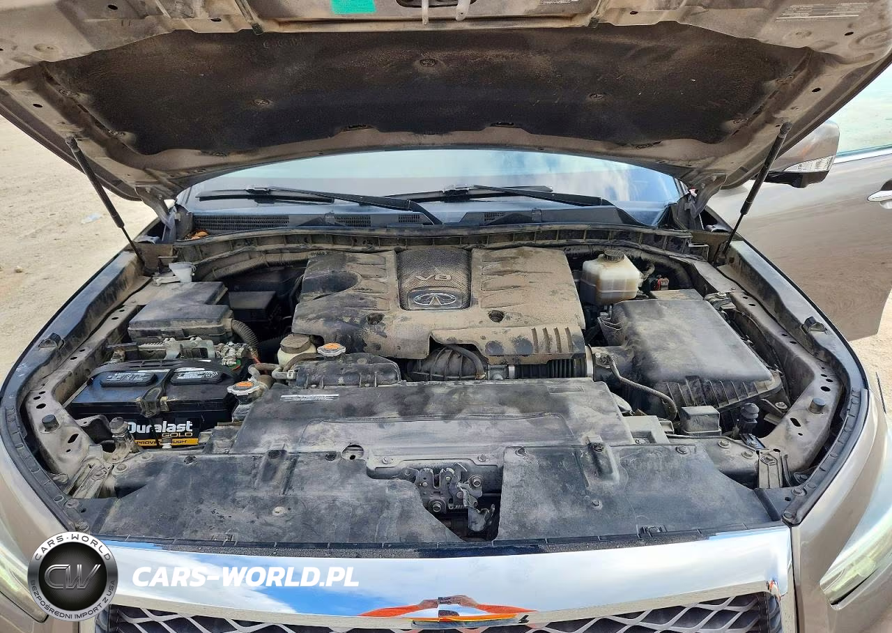 2019 Infiniti Qx80 Luxe VIN:JN8AZ2NF6K9682405 - 12