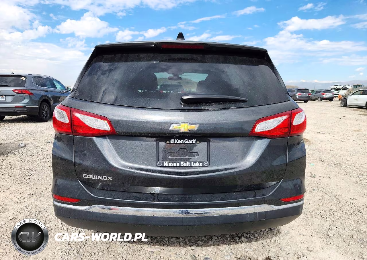 2018 Chevrolet Equinox Ls VIN:2GNAXHEVXJ6263969 - 6