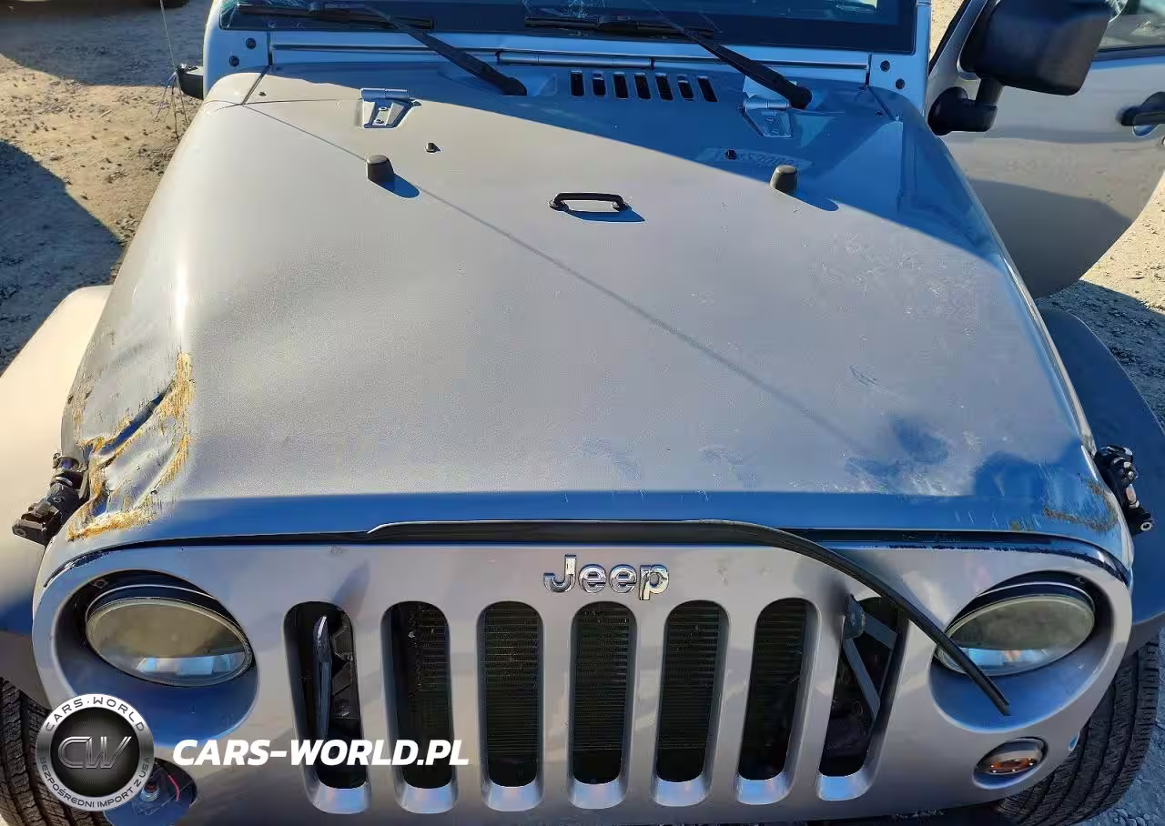 2016 Jeep Wrangler Unlimited Sport VIN:1C4BJWDG2GL176895 - 12