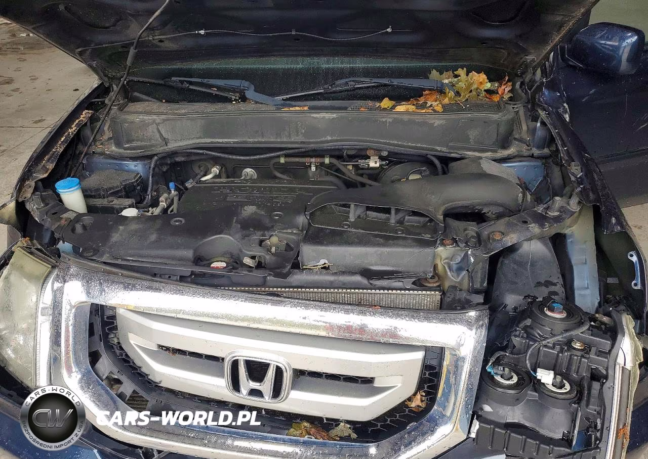2011 Honda Pilot Exl VIN:5FNYF4H58BB042431 - 12