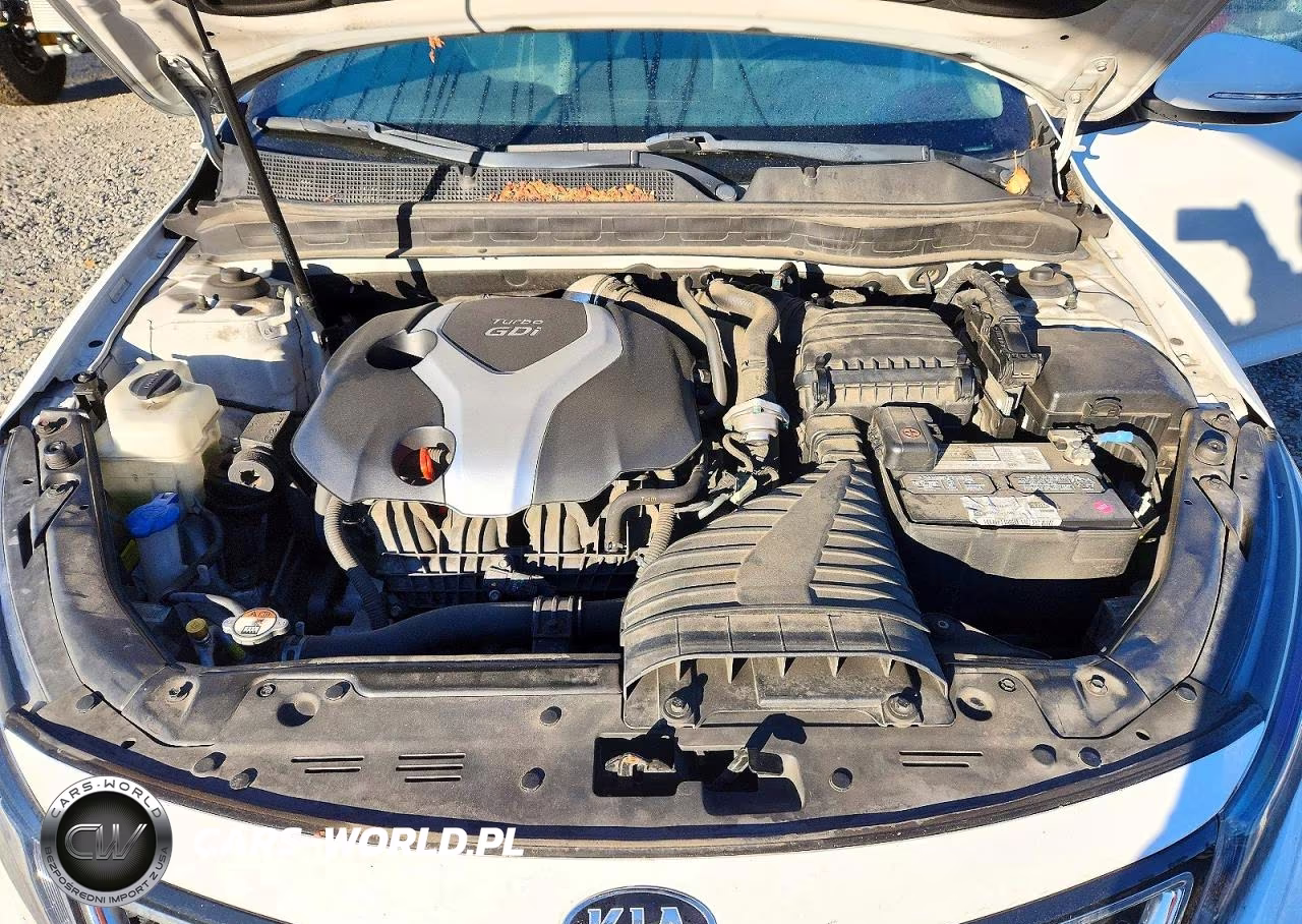 2015 Kia Optima VIN:5XXGR4A65FG489758 - 11