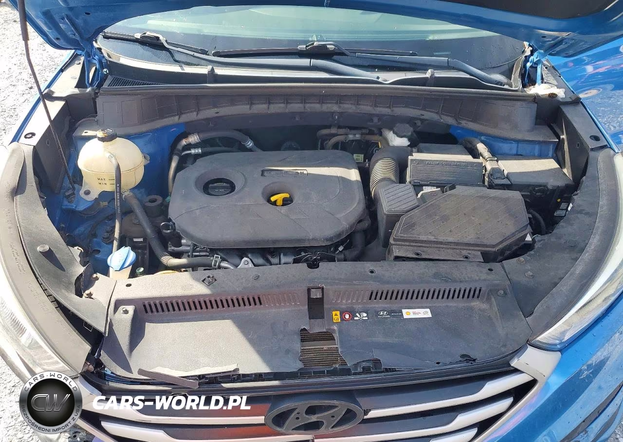 2017 Hyundai Tucson Se VIN:KM8J23A43HU539407 - 12