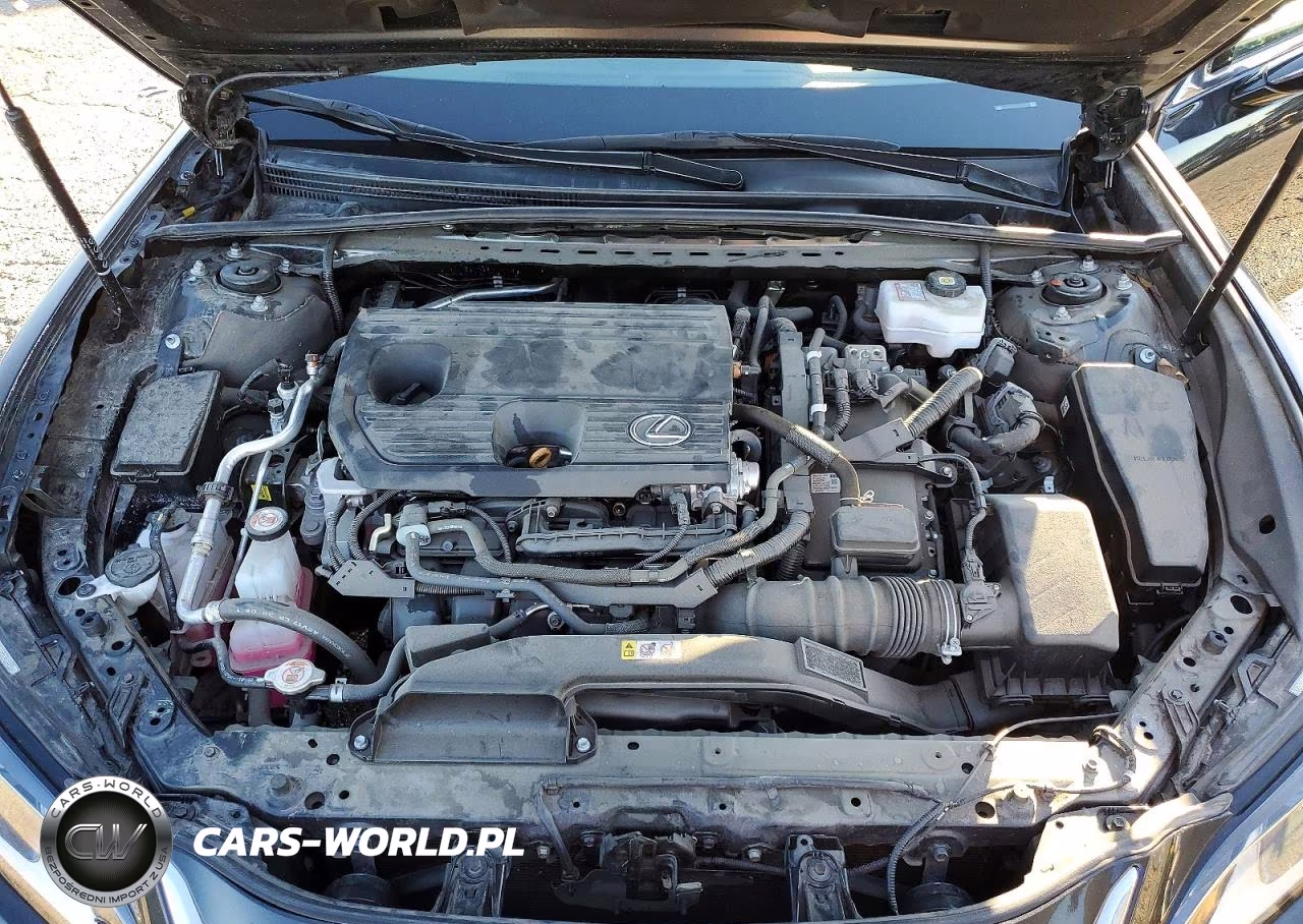 2025 Lexus Es 300H Base VIN:58ADA1C13SU057088 - 11