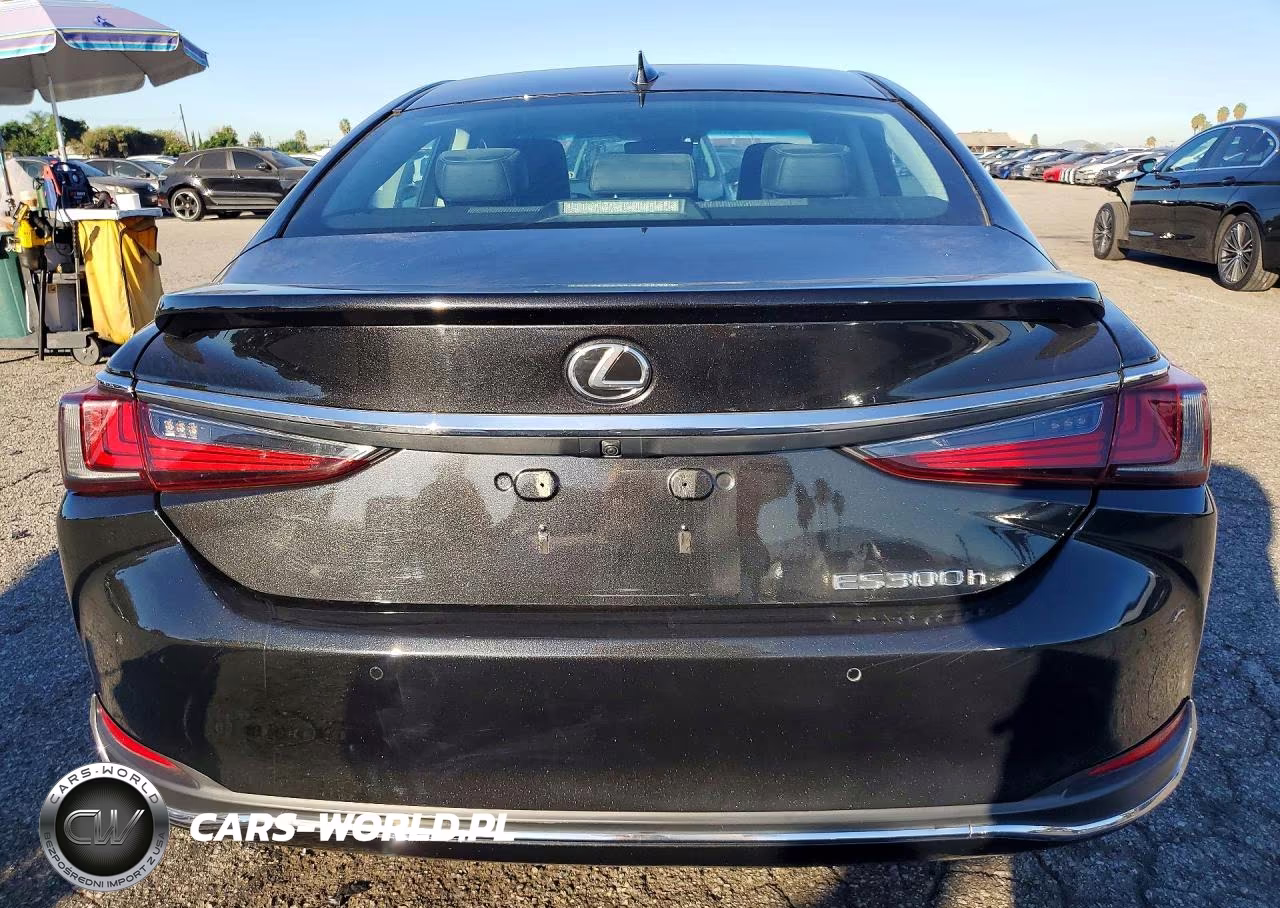 2025 Lexus Es 300H Base VIN:58ADA1C13SU057088 - 6
