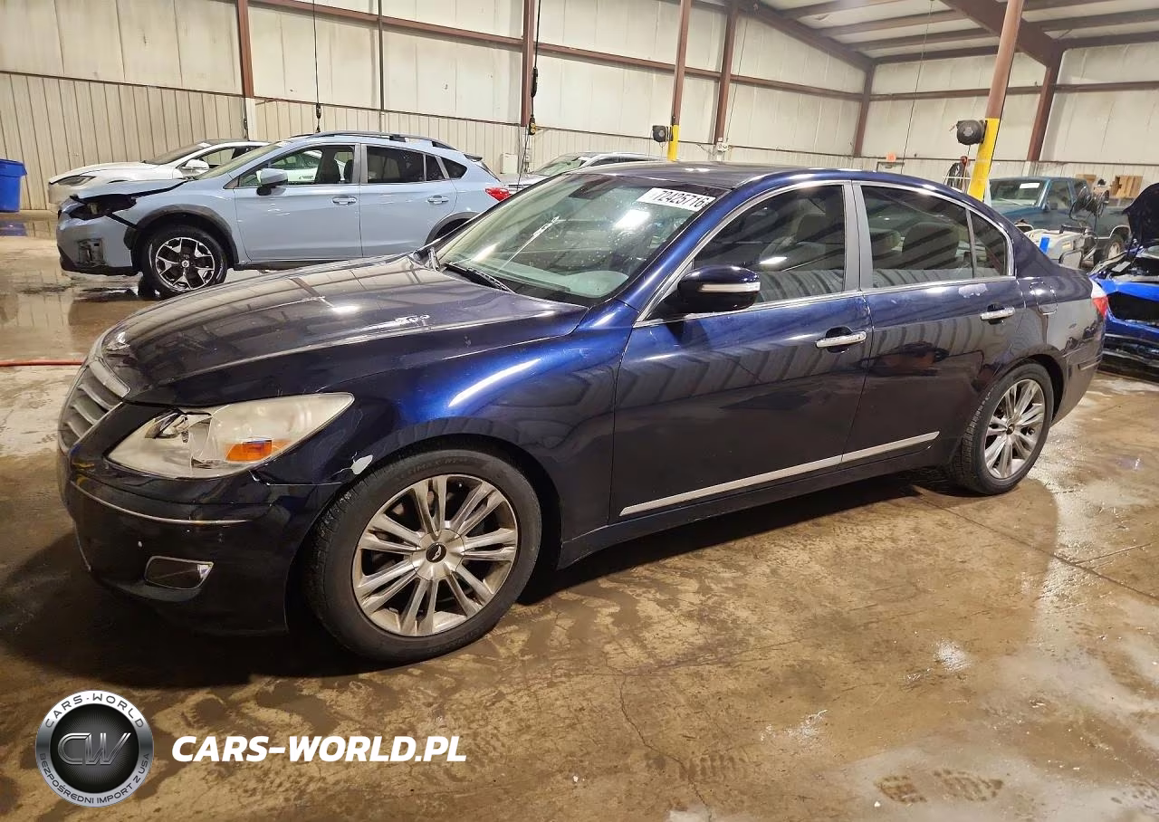 2009 Hyundai Genesis 4.6L VIN:KMHGC46F59U064867 - 1
