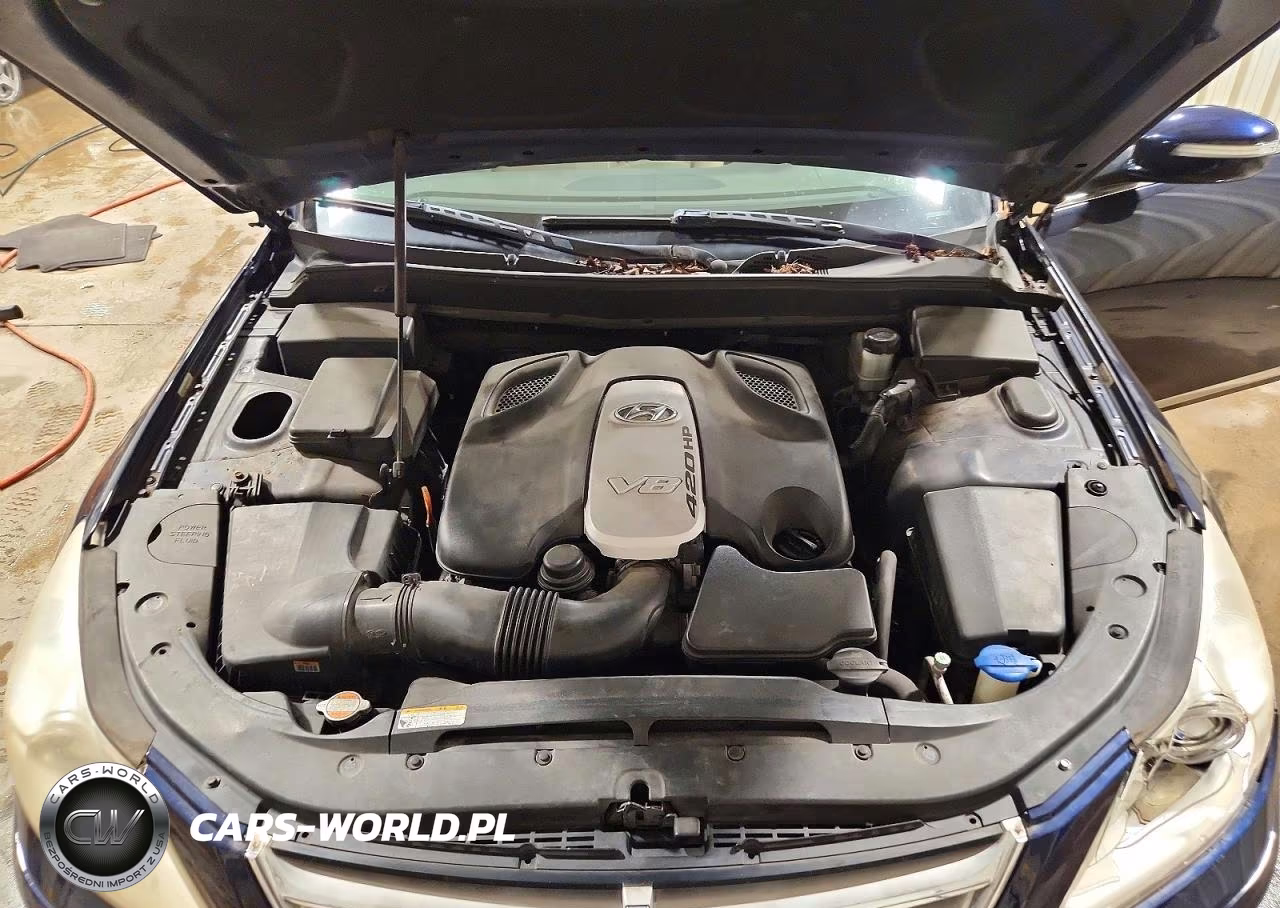 2009 Hyundai Genesis 4.6L VIN:KMHGC46F59U064867 - 11