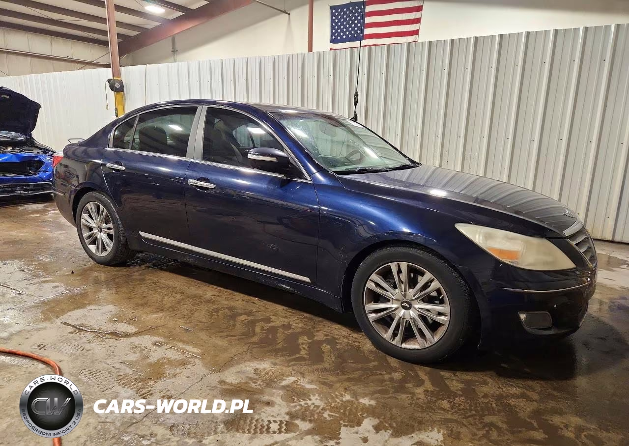2009 Hyundai Genesis 4.6L VIN:KMHGC46F59U064867 - 4