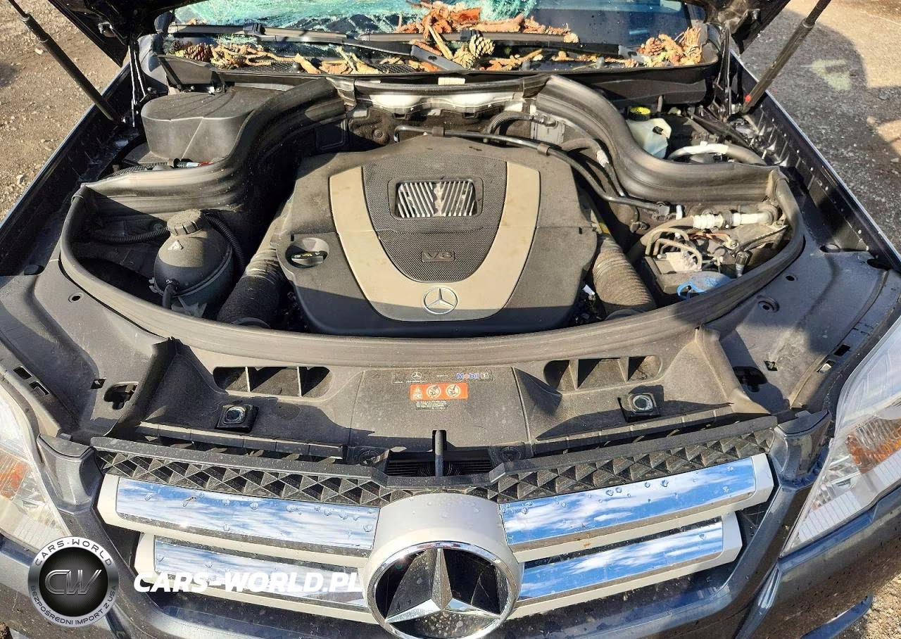 2010 Mercedes-Benz Glk 350 4Matic VIN:WDCGG8HB0AF354270 - 12