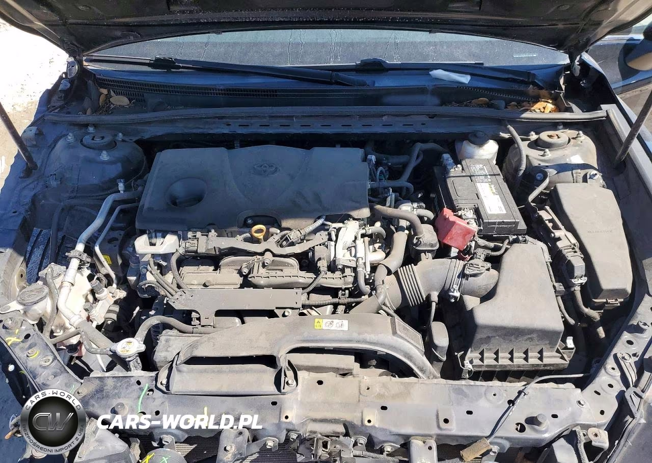 2019 Toyota Camry Se VIN:4T1B11HK5KU231758 - 11