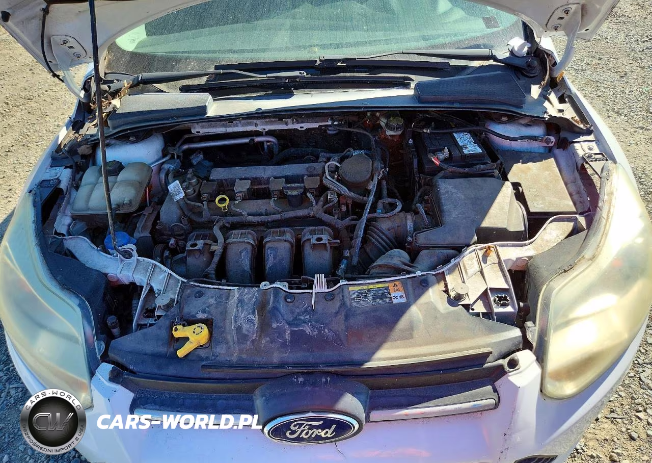 2014 Ford Focus Se VIN:1FADP3K27EL254846 - 11