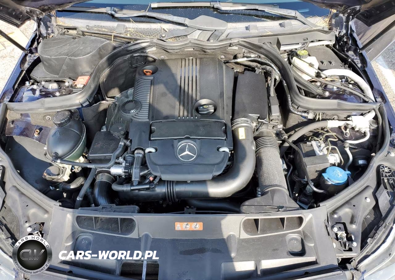 2010 Mercedes-Benz C VIN:WDDGF4HB1CA645951 - 11