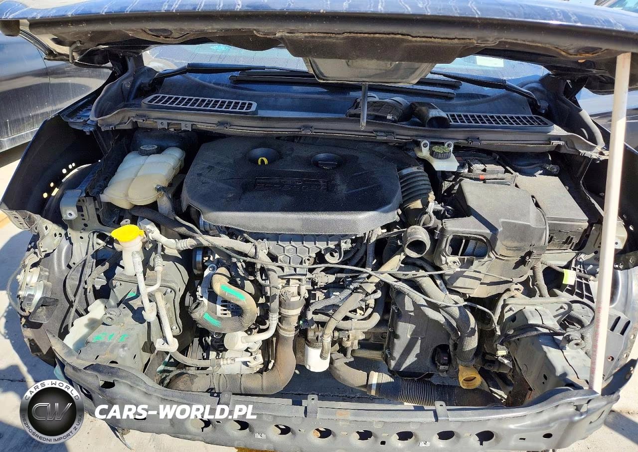 2013 Ford Escape Sel VIN:1FMCU0H98DUD89226 - 12