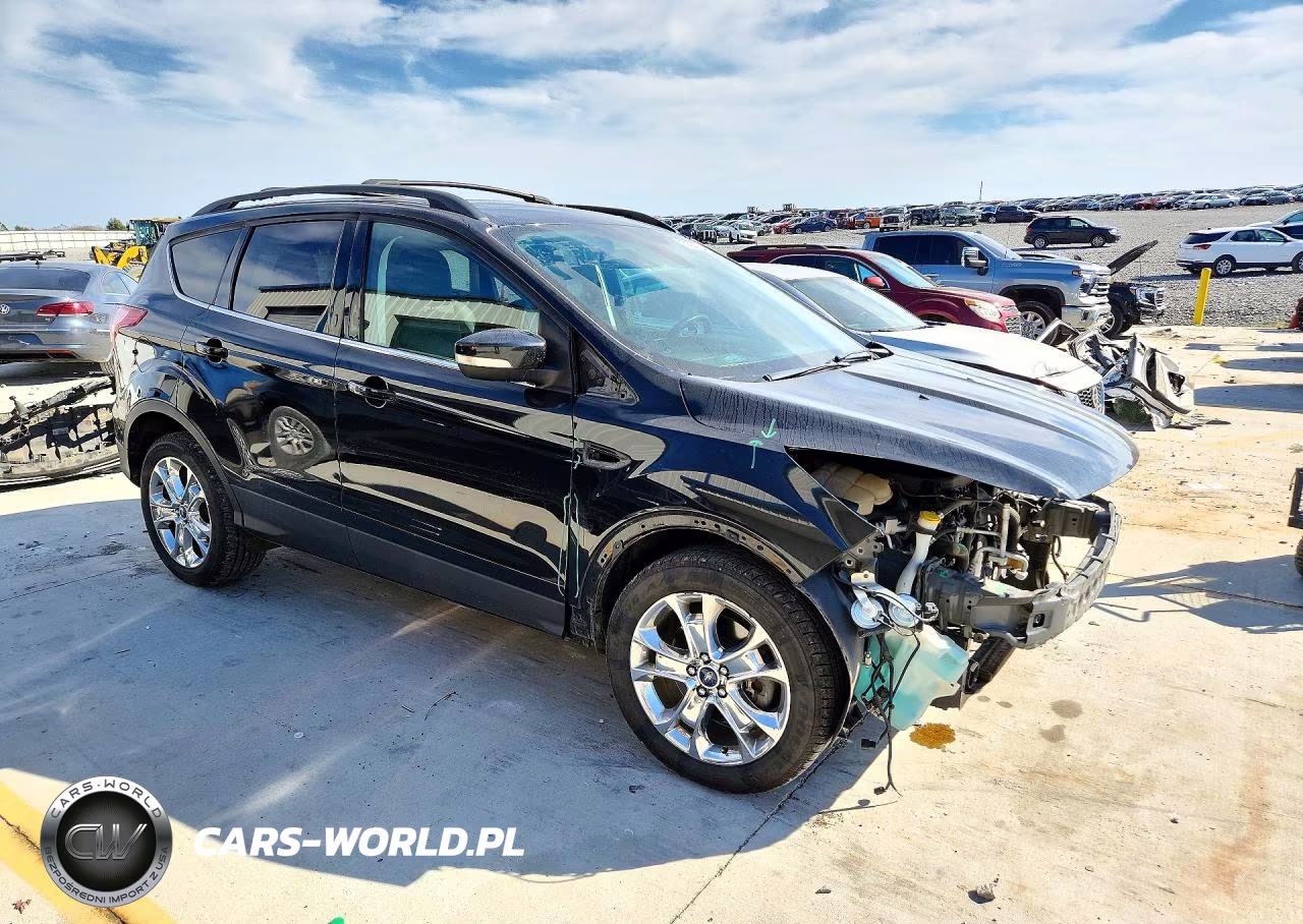 2013 Ford Escape Sel VIN:1FMCU0H98DUD89226 - 4