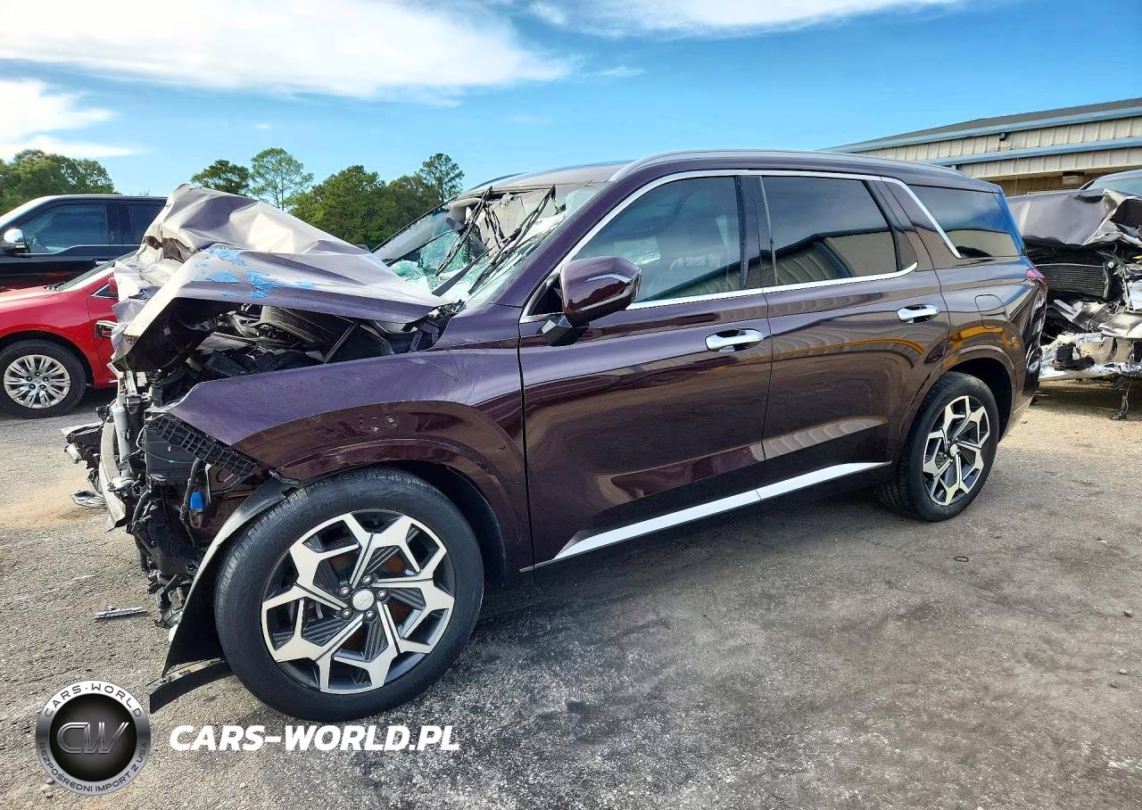 2025 Hyundai Palisade Calligraphy VIN:KM8R74HE5NU337270 - 1