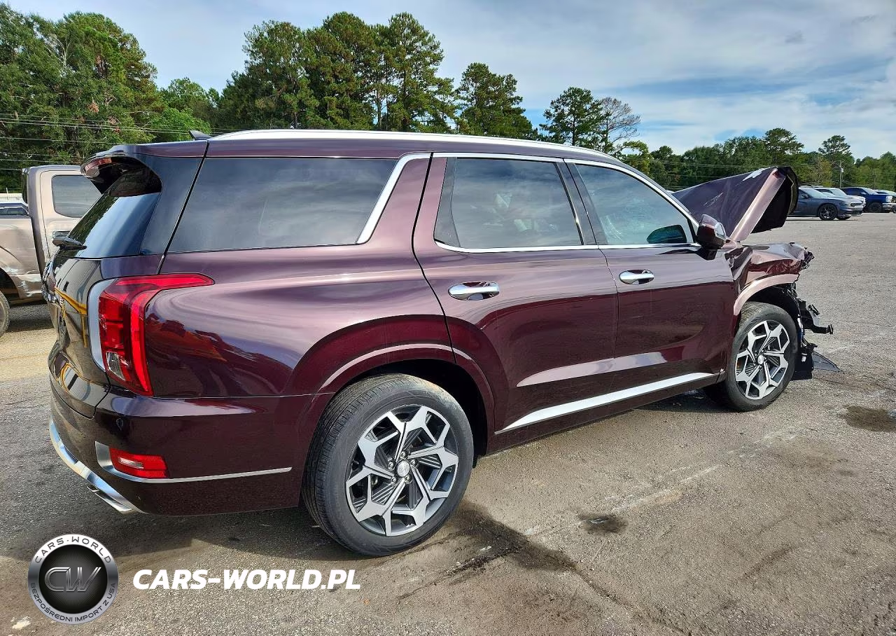 2025 Hyundai Palisade Calligraphy VIN:KM8R74HE5NU337270 - 3