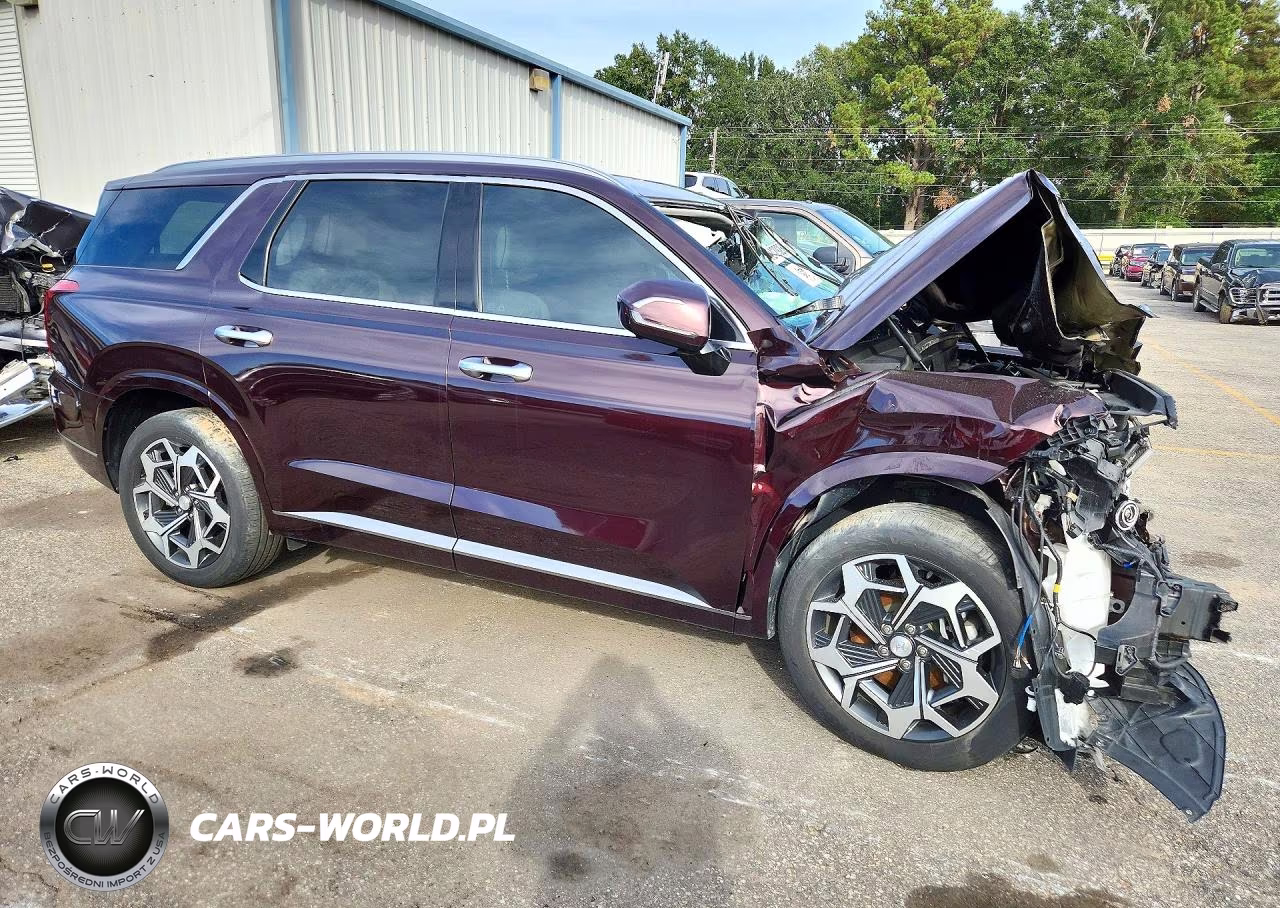 2025 Hyundai Palisade Calligraphy VIN:KM8R74HE5NU337270 - 4