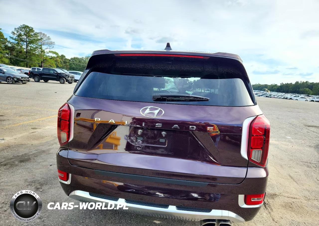 2025 Hyundai Palisade Calligraphy VIN:KM8R74HE5NU337270 - 6
