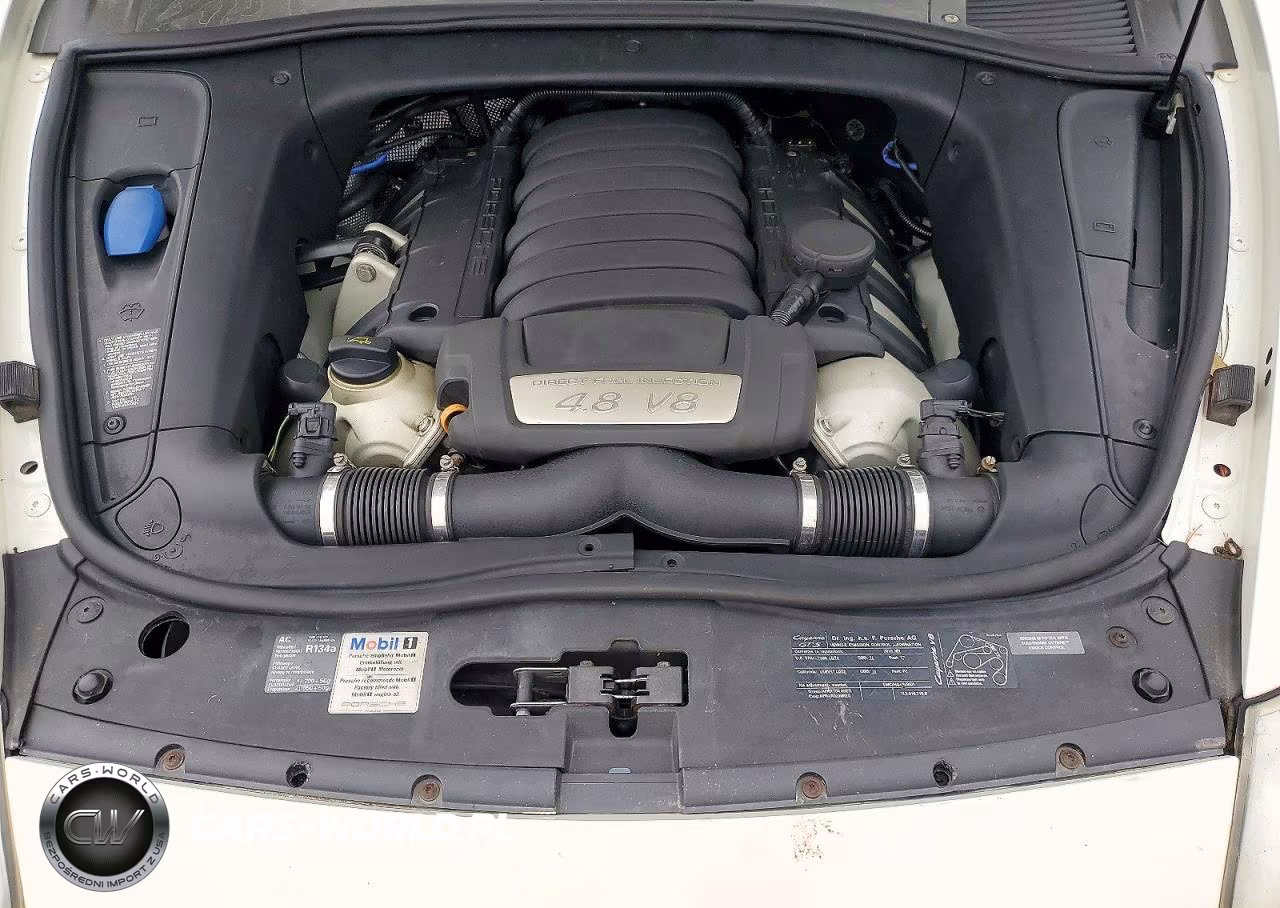 2010 Porsche Cayenne Gts VIN:WP1AD2APXALA60527 - 12