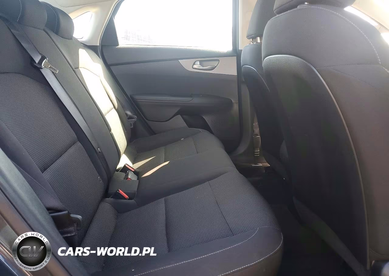 2019 Kia Forte Lxs VIN:3KPF24AD5KE138933 - 10