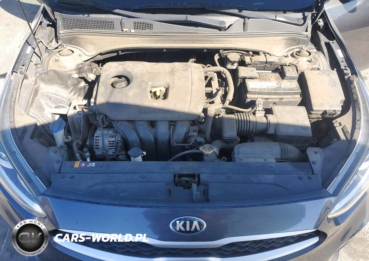 2019 Kia Forte Lxs VIN:3KPF24AD5KE138933 - 11