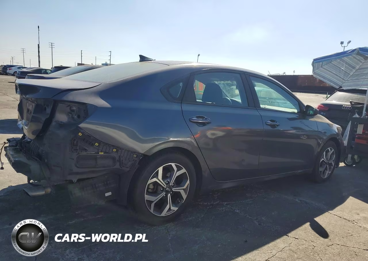 2019 Kia Forte Lxs VIN:3KPF24AD5KE138933 - 3
