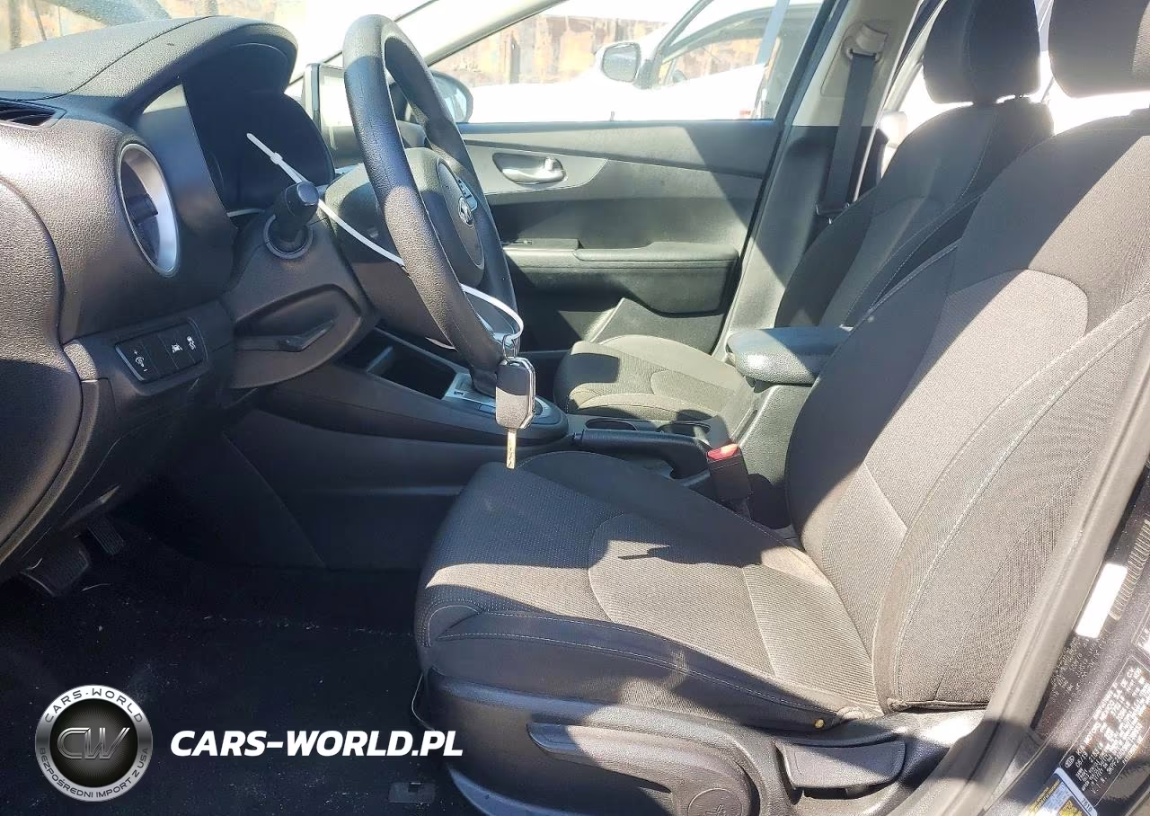 2019 Kia Forte Lxs VIN:3KPF24AD5KE138933 - 7