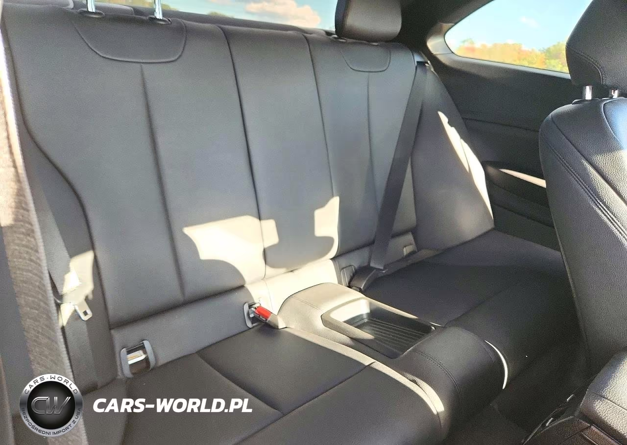 2020 BMW 230Xi VIN:WBA2J3C09L7E19267 - 10