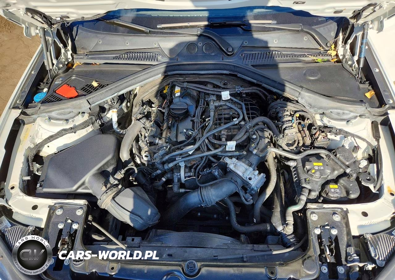 2020 BMW 230Xi VIN:WBA2J3C09L7E19267 - 11