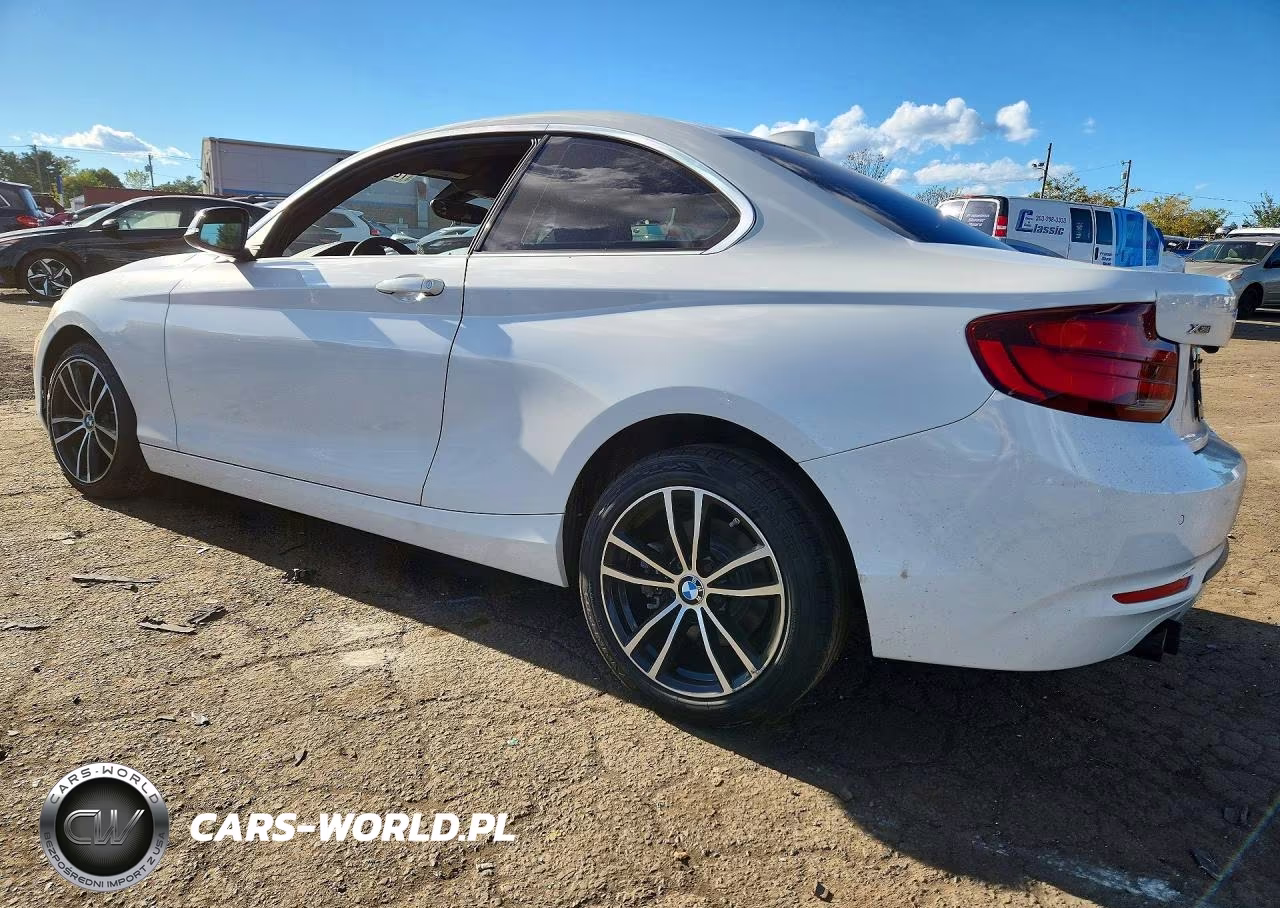2020 BMW 230Xi VIN:WBA2J3C09L7E19267 - 2