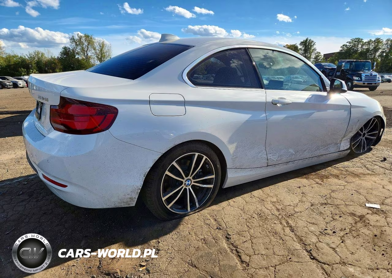 2020 BMW 230Xi VIN:WBA2J3C09L7E19267 - 3