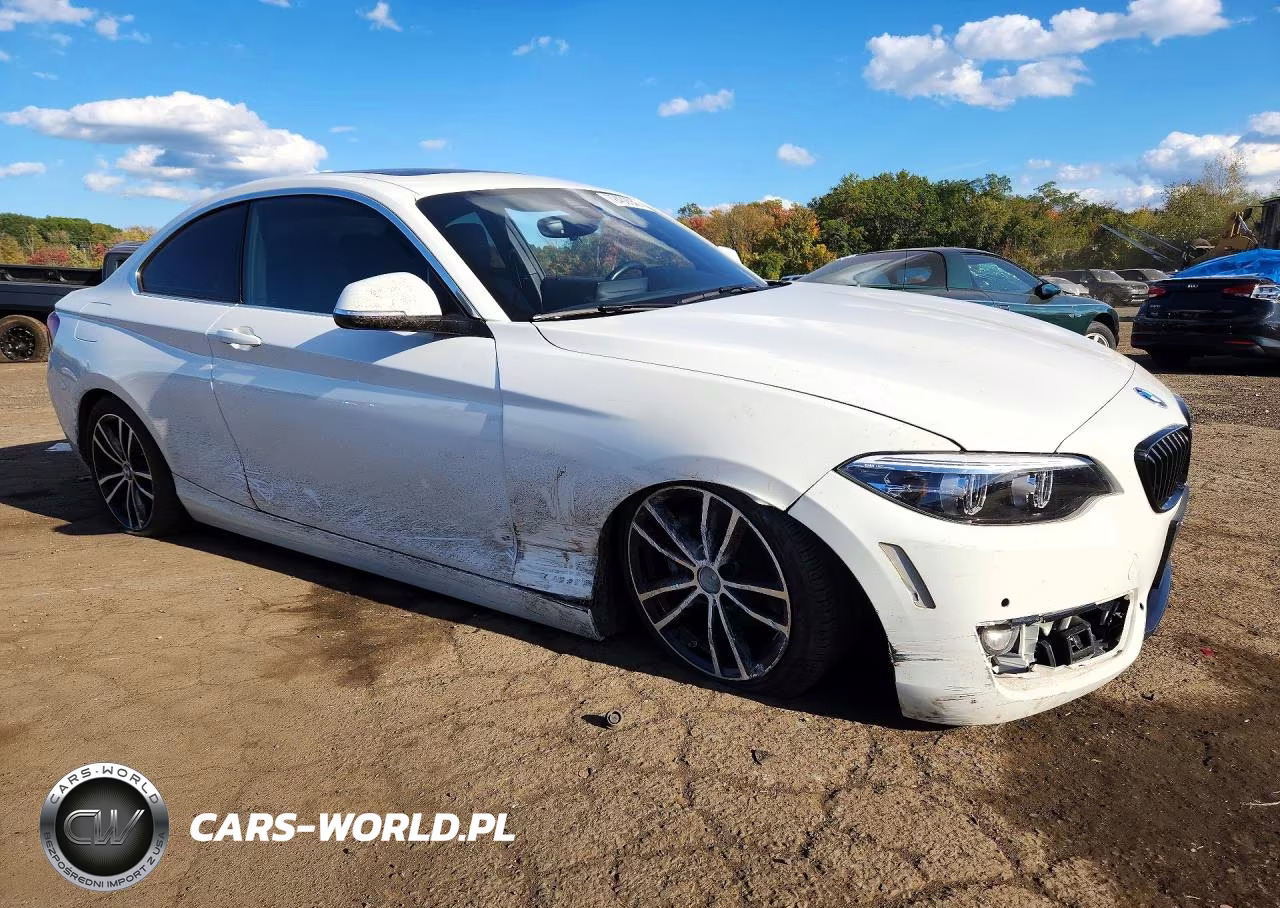 2020 BMW 230Xi VIN:WBA2J3C09L7E19267 - 4