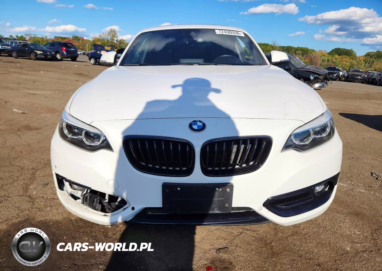 2020 BMW 230Xi VIN:WBA2J3C09L7E19267 - 5