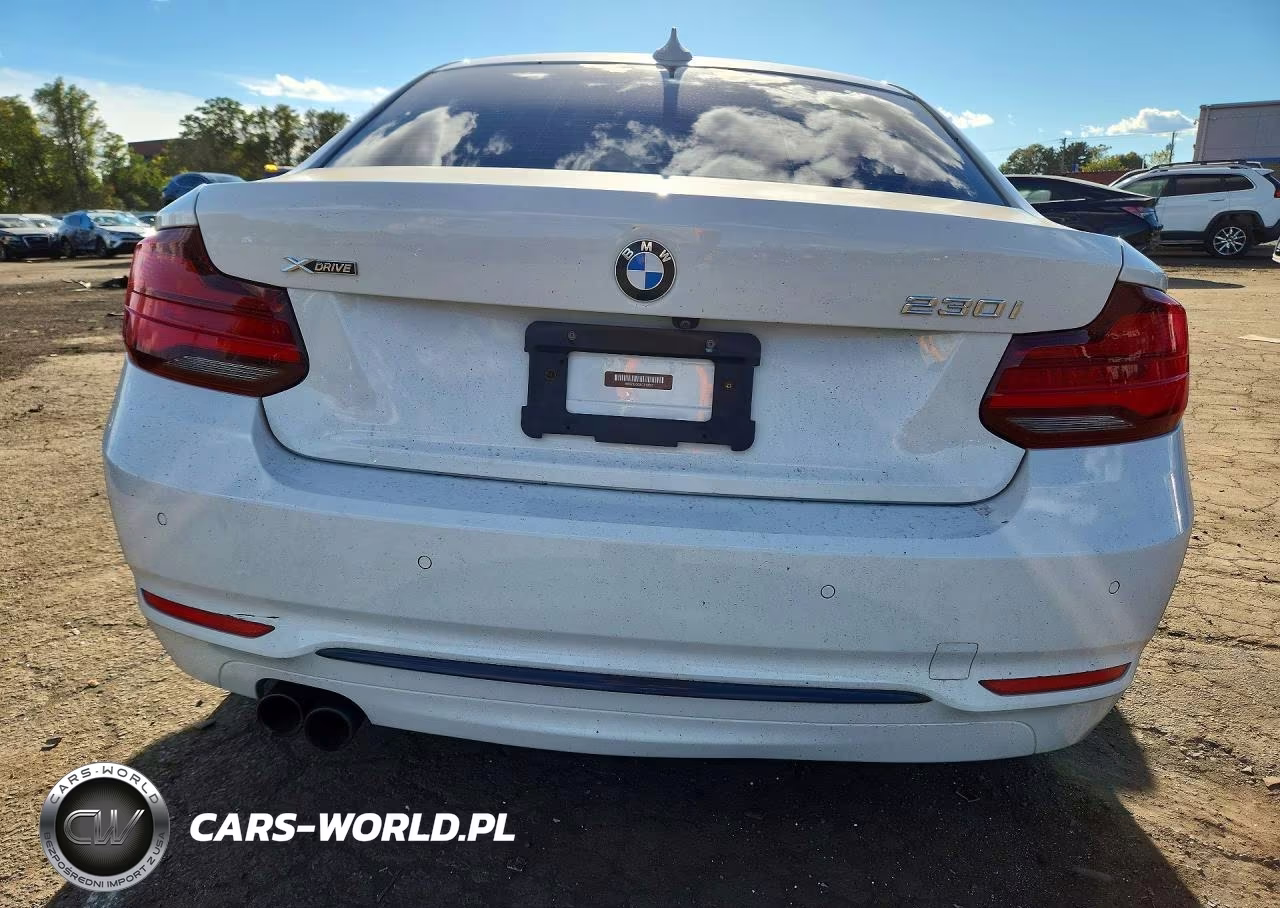 2020 BMW 230Xi VIN:WBA2J3C09L7E19267 - 6