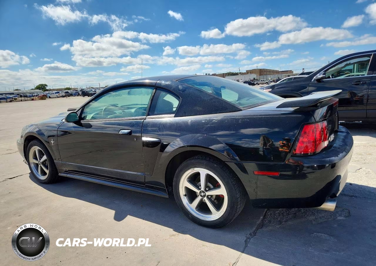 2003 Ford Mustang Mach I VIN:1FAFP42R73F392314 - 2