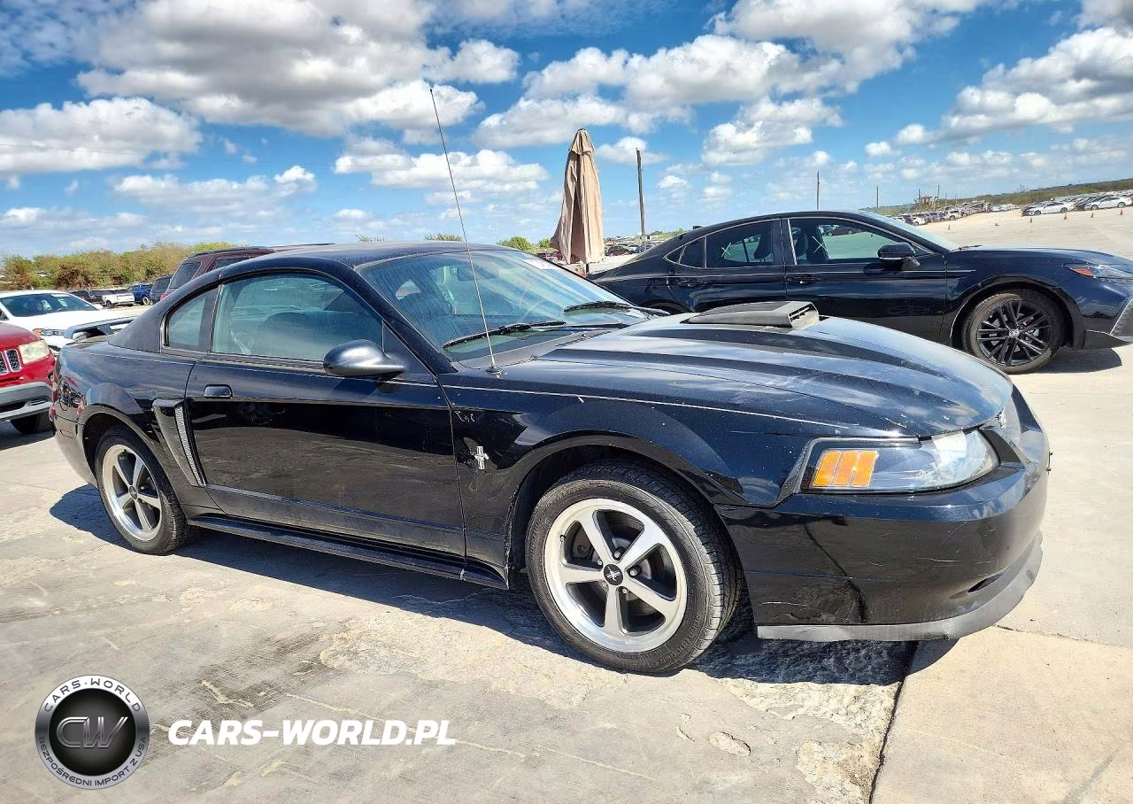 2003 Ford Mustang Mach I VIN:1FAFP42R73F392314 - 4