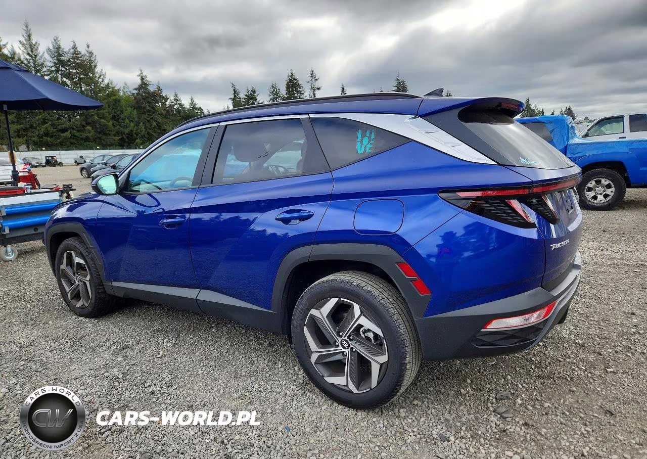 2024 Hyundai Tucson Sel VIN:5NMJFCDE6RH306806 - 2