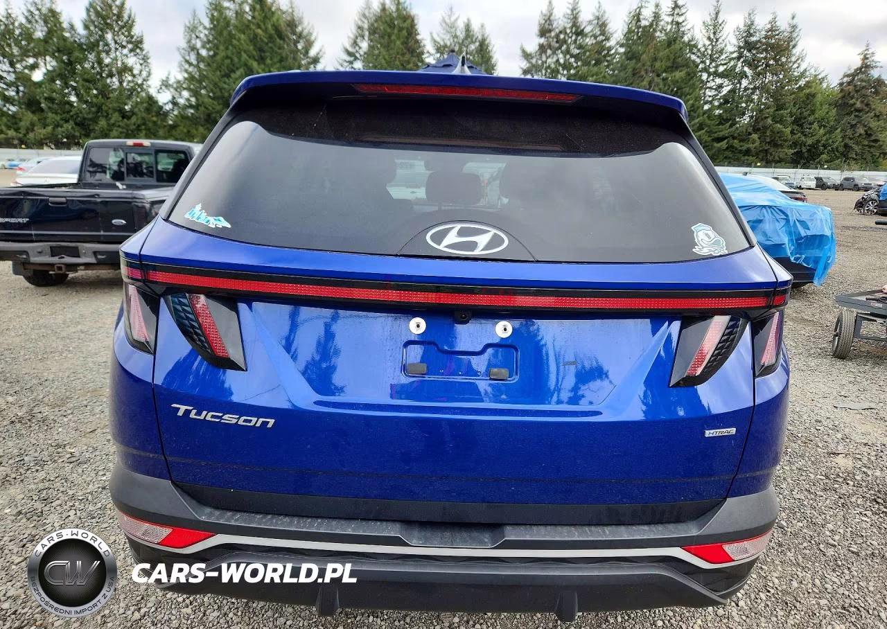 2024 Hyundai Tucson Sel VIN:5NMJFCDE6RH306806 - 6