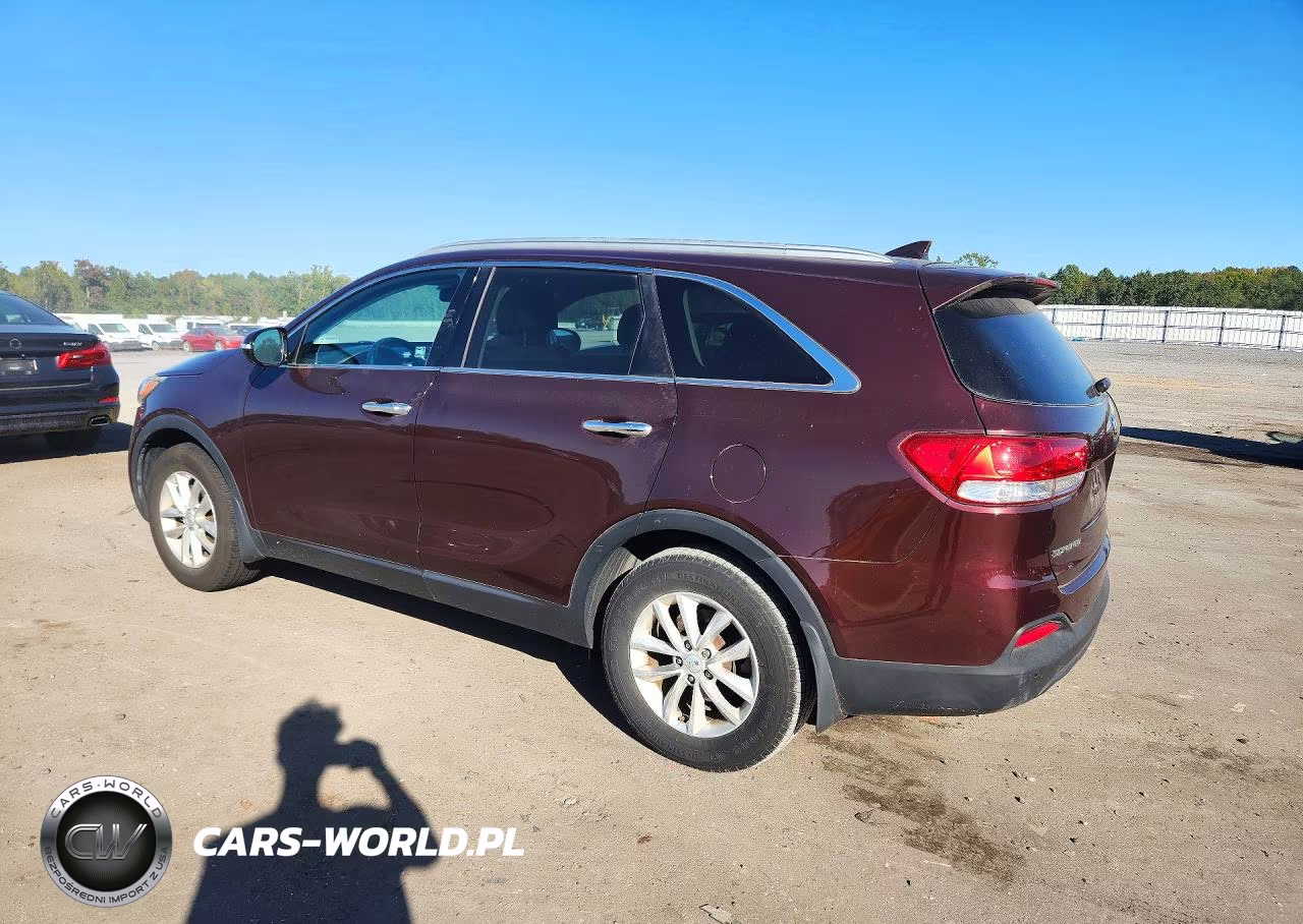 2017 Kia Sorento Lx VIN:5XYPG4A31HG255644 - 2